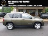 2016 ECO Green Pearl Jeep Compass Sport #113940435