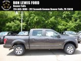 2016 Magnetic Ford F150 XL SuperCrew 4x4 #114243350