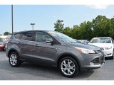 2013 Sterling Gray Metallic Ford Escape SEL 1.6L EcoBoost #114243471