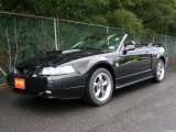 2004 Black Ford Mustang GT Convertible #11413219