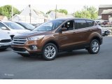 2017 Ford Escape SE 4WD