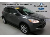 2013 Sterling Gray Metallic Ford Escape SEL 1.6L EcoBoost 4WD #114354684