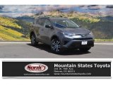 2016 Magnetic Gray Metallic Toyota RAV4 LE AWD #114409185