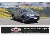 2016 Magnetic Gray Metallic Toyota RAV4 LE AWD #114409183