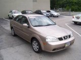 2004 Champagne Beige Metallic Suzuki Forenza S #11404996