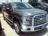 2016 Magnetic Ford F150 XLT SuperCrew #114544437