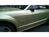 2006 Legend Lime Metallic Ford Mustang GT Premium Convertible #114571432