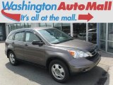 2010 Urban Titanium Metallic Honda CR-V LX AWD #114594954
