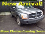 2005 Mineral Gray Metallic Dodge Durango SXT 4x4 #114815928