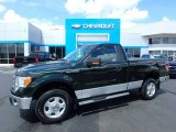2013 Ford F150 XLT Regular Cab 4x4 Front 3/4 View