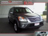 2005 Pewter Pearl Honda CR-V Special Edition 4WD #11506178