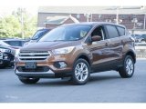 2017 Canyon Ridge Ford Escape SE 4WD #115230551
