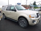 2017 Ford Expedition White Gold