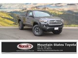 2017 Magnetic Gray Metallic Toyota Tacoma TRD Off Road Access Cab 4x4 #115272946