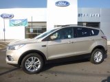 2017 White Gold Ford Escape SE 4WD #115535692