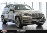 2017 Atlas Cedar Metallic BMW X5 xDrive50i #115535529