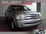 2006 Silver Sky Metallic Toyota Tundra SR5 Double Cab #11551504