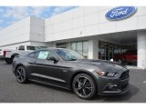 Magnetic Metallic Ford Mustang in 2016