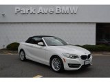 2016 Alpine White BMW 2 Series 228i xDrive Convertible #115590914