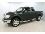 2014 Ford F150 XLT SuperCab 4x4 Front 3/4 View