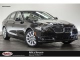 2016 Jet Black BMW 5 Series 535i Sedan #115632412
