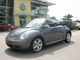 2006 Platinum Grey Volkswagen New Beetle 2.5 Convertible #11549558