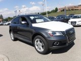 Daytona Gray Pearl Audi Q5 in 2017