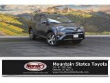 2017 Magnetic Gray Metallic Toyota RAV4 XLE AWD #115758751