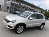 2013 White Gold Metallic Volkswagen Tiguan SE 4Motion #115758931