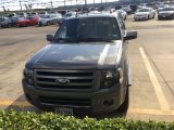 2010 Sterling Grey Metallic Ford Expedition Limited #115992300
