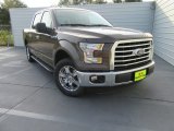 Caribou Ford F150 in 2016