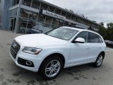 Glacier White Metallic Audi Q5 in 2017