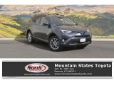 Magnetic Gray Metallic Toyota RAV4 in 2017