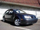 2004 Platinum Grey Metallic Volkswagen Jetta GLS TDI Sedan #11578957