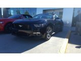 2017 Shadow Black Ford Mustang GT Coupe #116223028