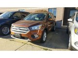 2017 Canyon Ridge Ford Escape SE 4WD #116267578