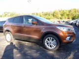 2017 Ford Escape SE 4WD