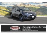 2017 Magnetic Gray Metallic Toyota RAV4 LE #116343869