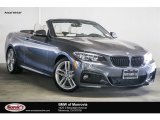 2017 Mineral Grey Metallic BMW 2 Series 230i Convertible #116369791