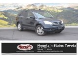 2010 Crystal Black Pearl Honda CR-V EX-L AWD #116579217