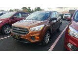 2017 Canyon Ridge Ford Escape S #116665740