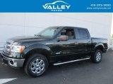 2013 Ford F150 XLT SuperCrew 4x4