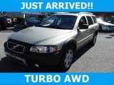 2006 Willow Green Metallic Volvo XC70 AWD #116706274