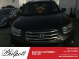 2012 Mineral Gray Hyundai Santa Fe SE V6 #116734571