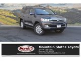 2017 Magnetic Gray Metallic Toyota Land Cruiser 4WD #116805888