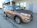 Mojave Sand Hyundai Tucson in 2017