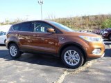 2017 Canyon Ridge Ford Escape SE 4WD #116871071