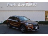 2016 Sparkling Brown Metallic BMW X1 xDrive28i #116871033