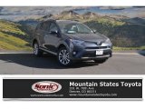 2017 Magnetic Gray Metallic Toyota RAV4 Platinum #116898714