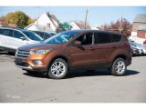 2017 Canyon Ridge Ford Escape SE 4WD #116919733